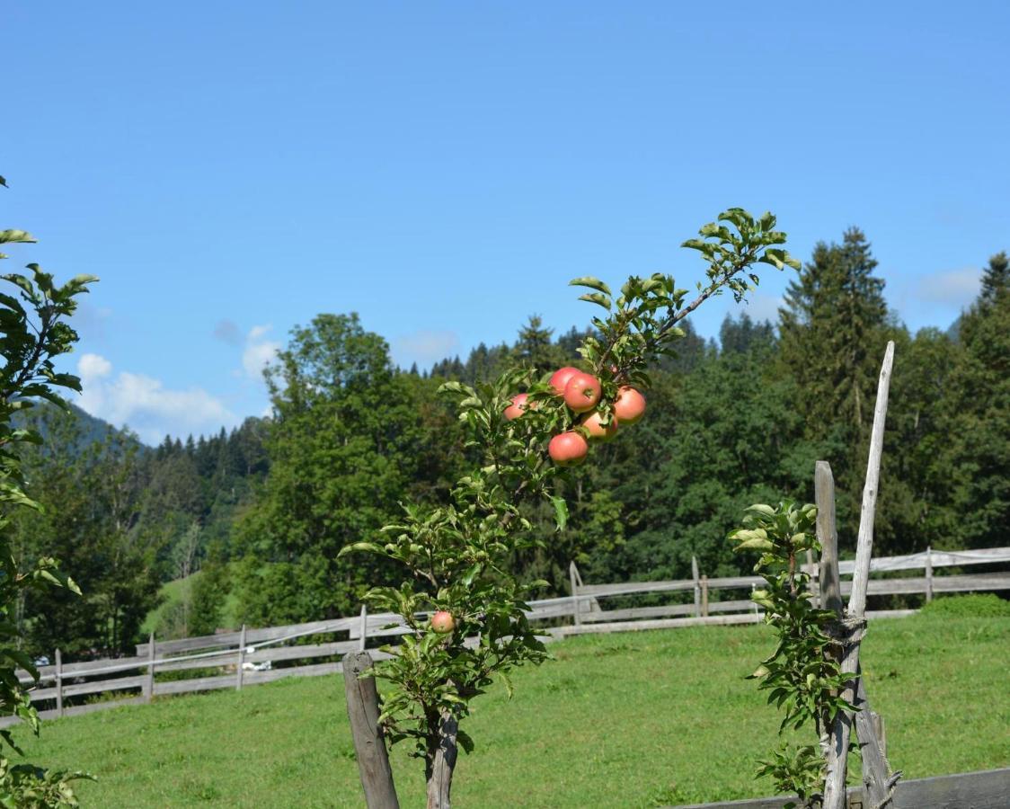 Farm stay Oberachenhof