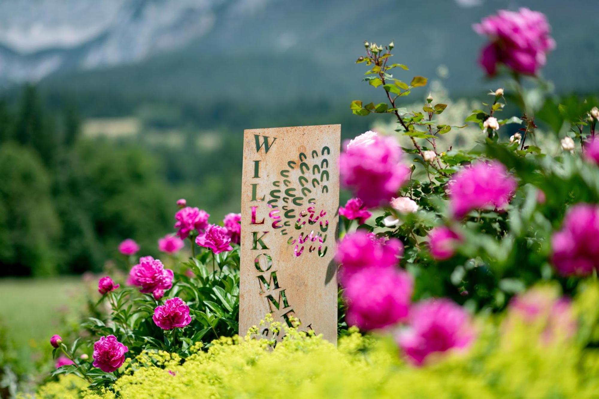 Farm stay Oberachenhof